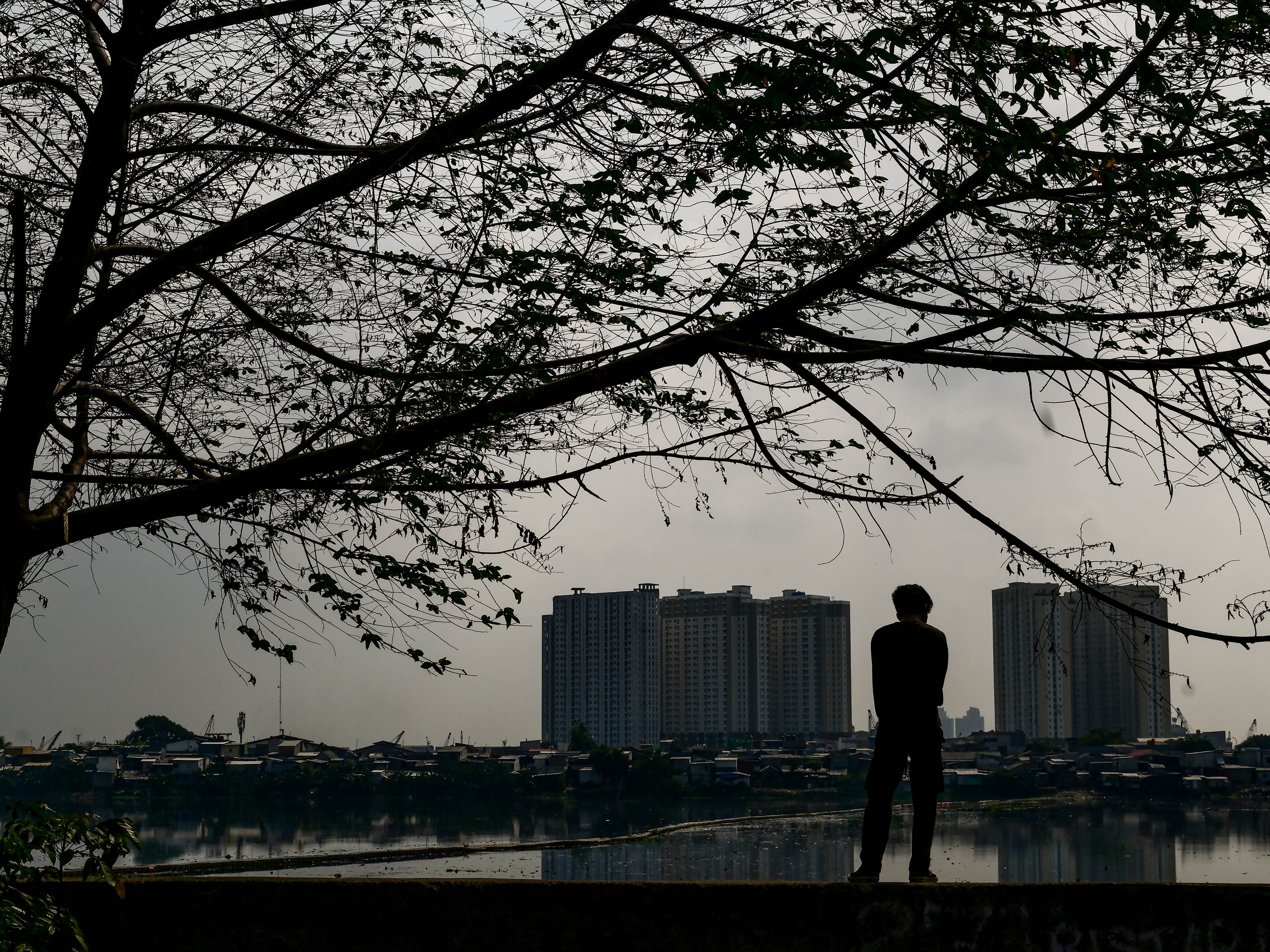 Ekonomi Indonesia untuk Menjadi Negara Maju Harus Tumbuh 6%