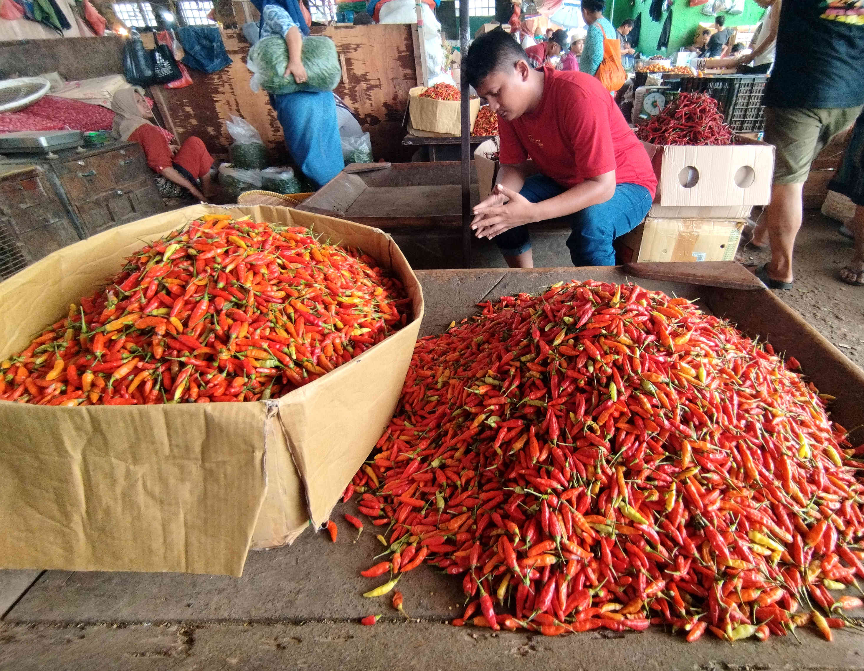 Harga cabai di sejumlah daerah di Jawa Barat sudah mulai turun