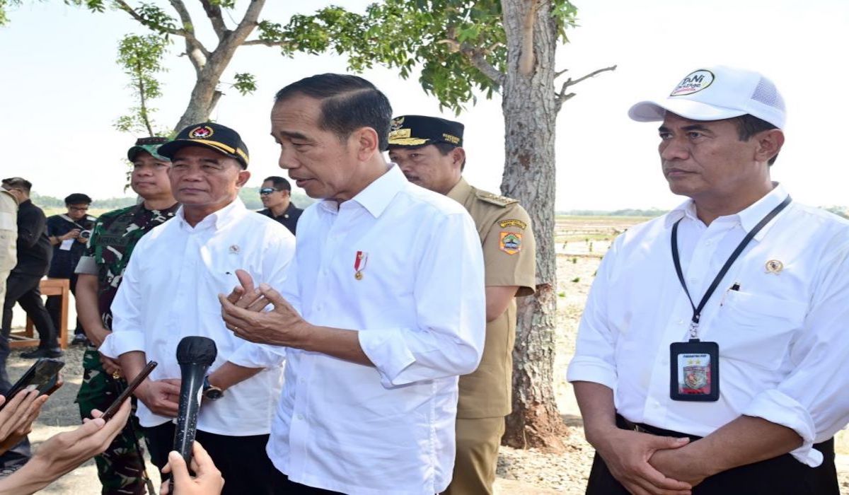 Jokowi izinkan petani beli pupuk bersubsidi pakai KTP