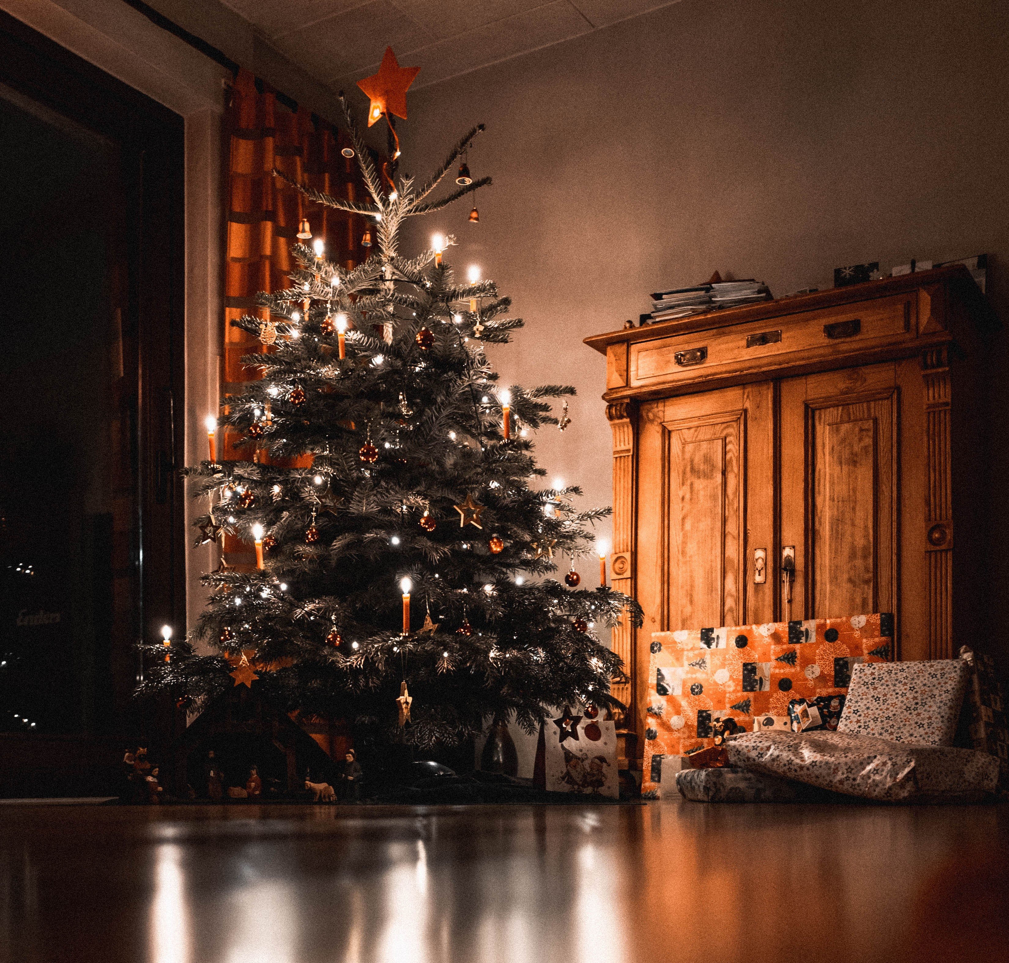 Ilustrsaiu: Pohon Natal