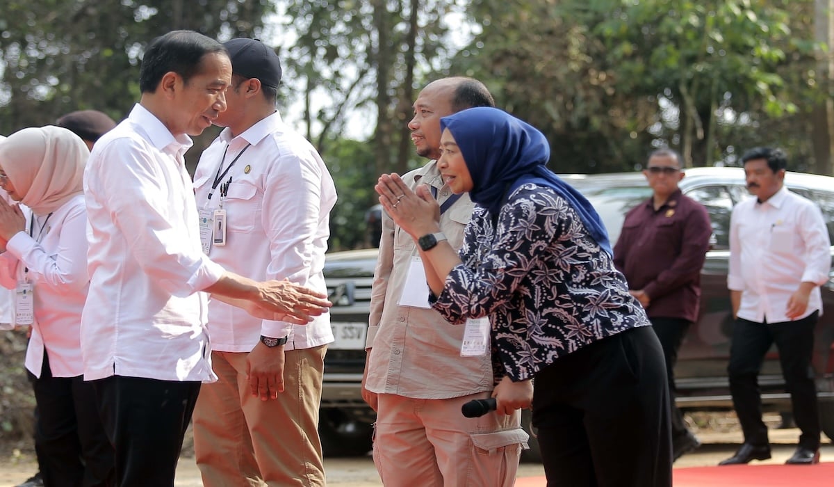 Presiden Joko Widodo meninjau kawasan pembangunan miniatur hutan hujan tropis di IKN Nusantara