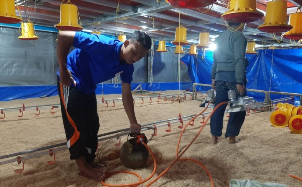 Polbangtan Bogor meraih kesuksesan gemilang mengembangkan TeFa dengan unit usaha produksi ayam broiler. 