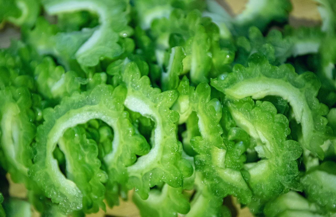 Ilustrasi manfaat pare untuk kesehatan