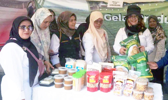 Project Manager SIMURP, Sri Mulyani (kanan) saat ´Pembinaan Penyuluh dan Petani Jawa Barat´di Soreang, Kabupaten Bandung.