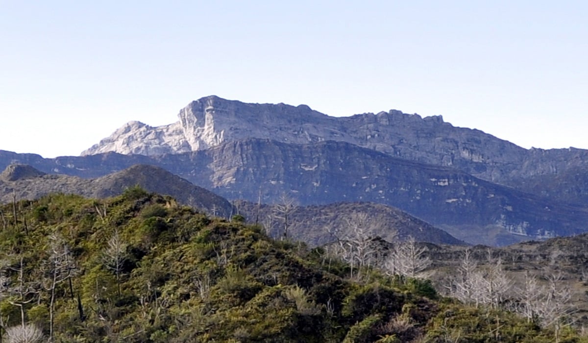 ilustrasi lagu daerah Papua Pegunungan