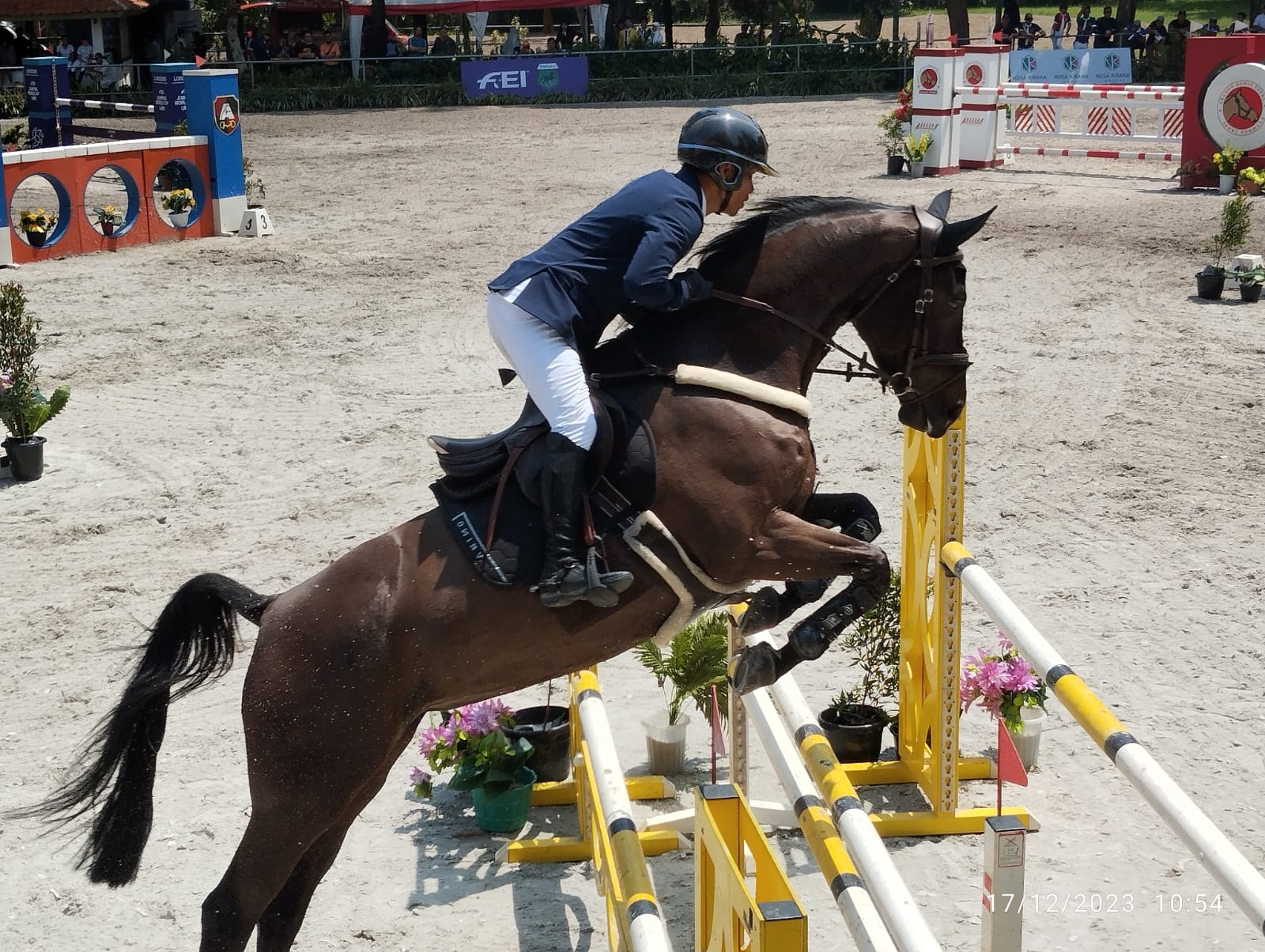 Kompetisi berkuda equestrian The Jakarta Masters 2023 menjadi ajang lahirnya bibit atlet muda equestrian berbakat di Tanah Air. 