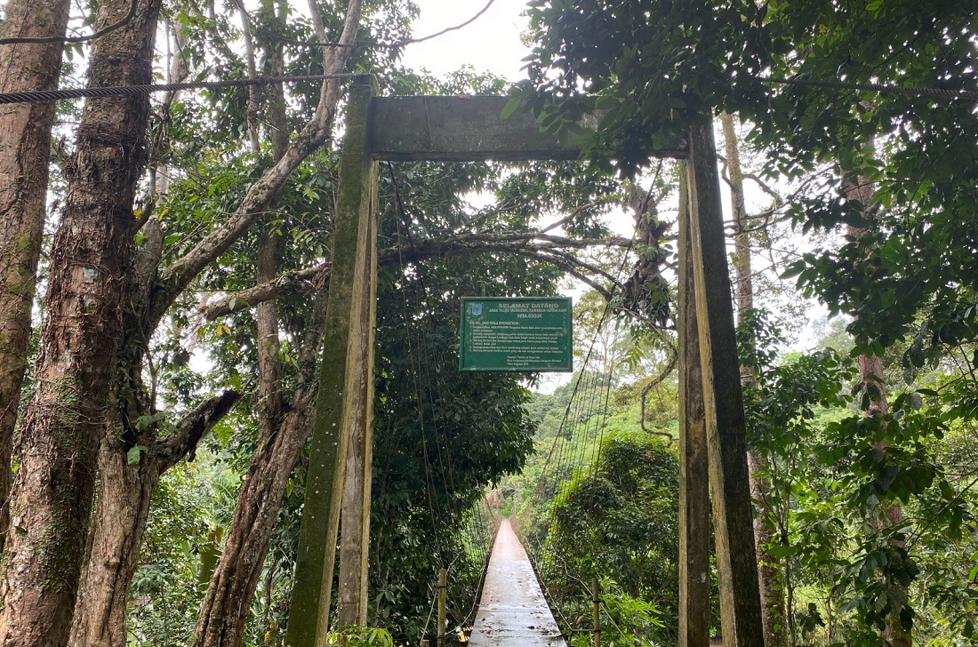 Ilustrasi.  Penampakan gerbang masuk ke Hutan Adat Guguk di Kabupaten Merangin, Provinsi Jambi