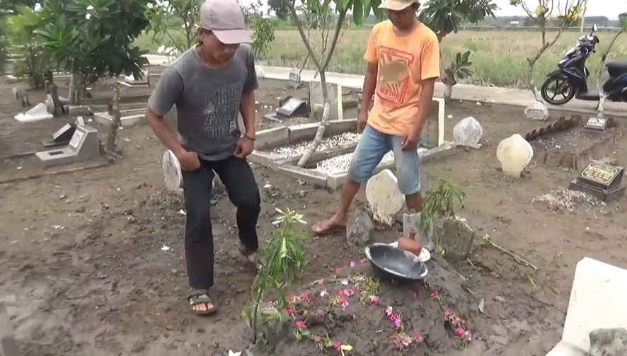 Balita usia 3 tahun tewas diesengat tawon vespa