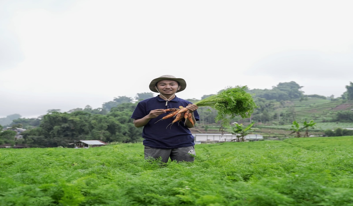 Terpaksa Berhenti Sekolah, Petani Milenial asal Banjarnegara ini Kini Berpenghasilan di Atas UMR