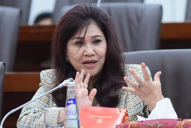 Anggota Komisi VI DPR RI Evita Nursanty