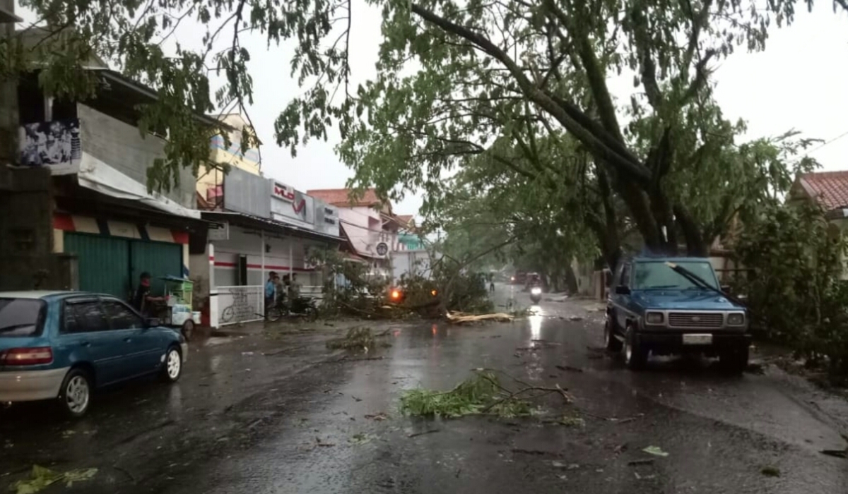 Ilustrasi dampak cuaca ekstrem yang menyebabkan hujan lebat dan angin puting beliung.