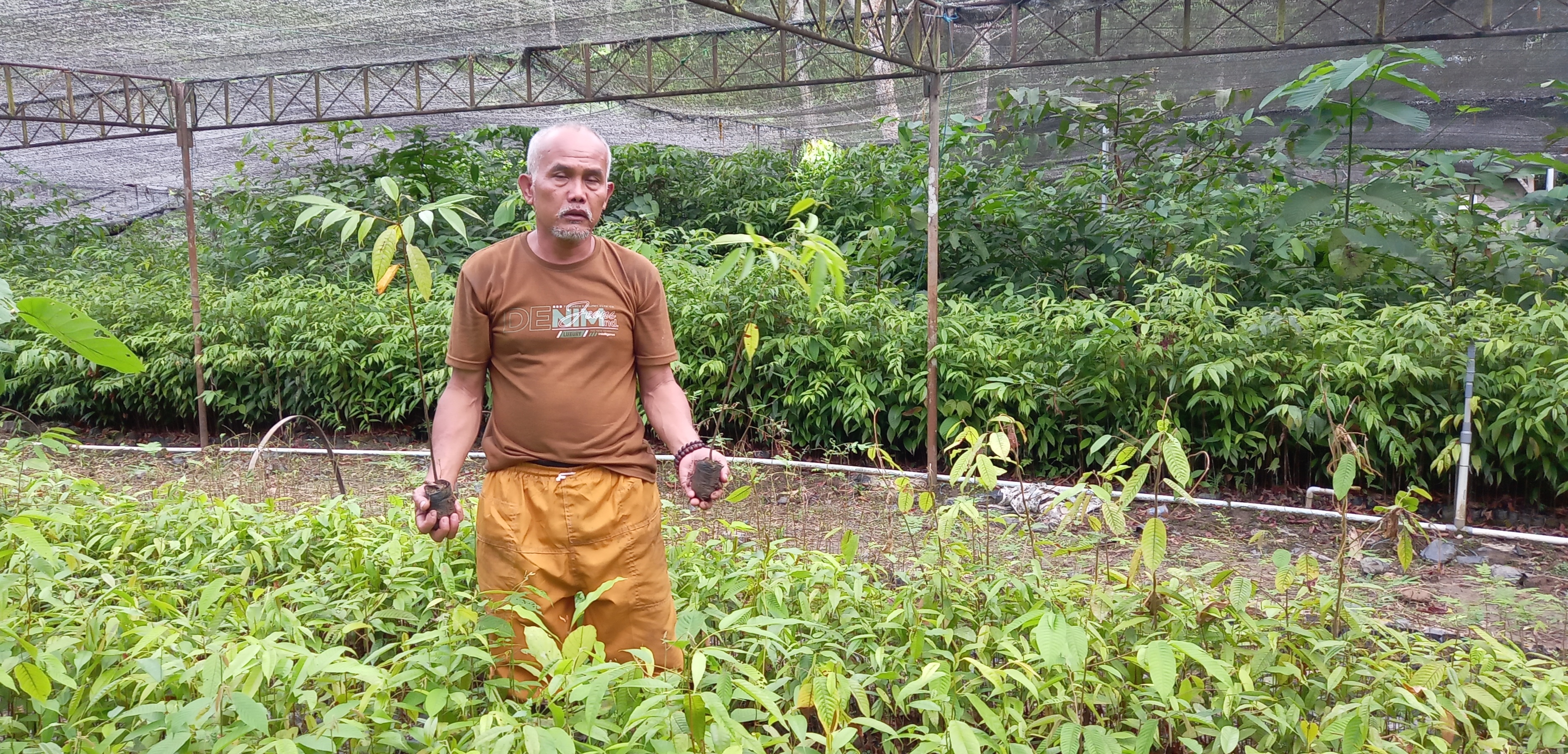 Kosim petani penangkar TBT di Desa Hinas Kiri, Kecamatan Batang Alai, Kabupaten Hulu Sungai Tengah