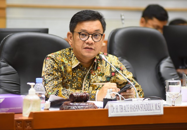 Wakil Ketua Komisi VIII DPR RI Ace Hasan Syadzily.