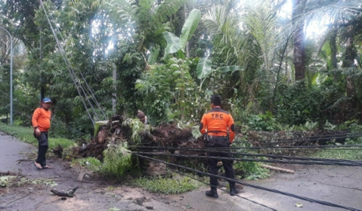 PLN Ingatkan Masyarakat Waspada Tersengat Listrik di Musim Hujan