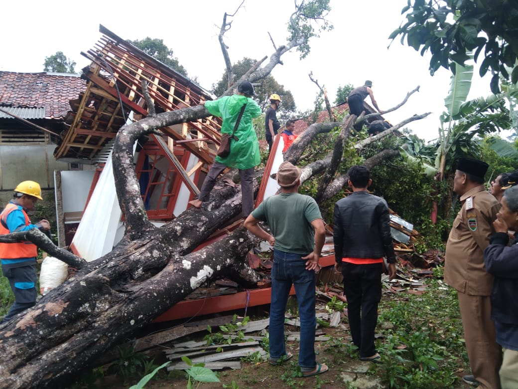 Sebuah rumah di Desa Babakan, Kecamatan Wanayasa, Kabupaten Purwakarta, rusak tertimpa pohon roboh