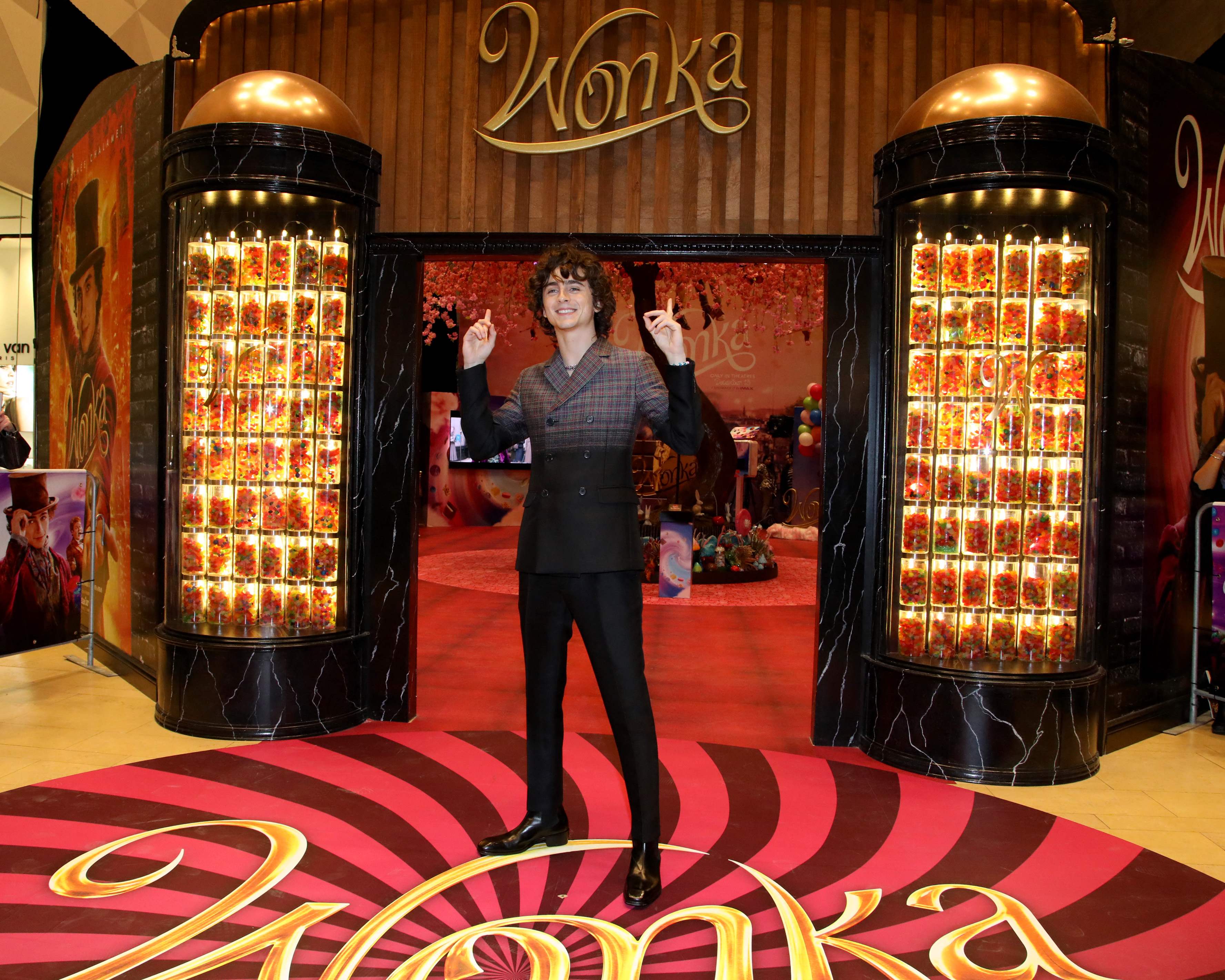 Timothee Chalamet, aktor pemeran utama film Wonka 