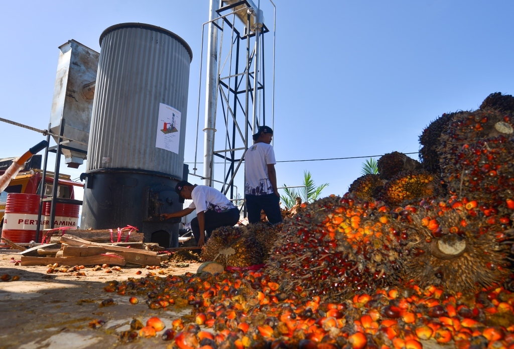 Pembentuk sub holding PalmCo akan membuat PTPN lebih fleksibel mengatasi sejumlah tantangan yang dihadapi dalam industri sawit nasional.