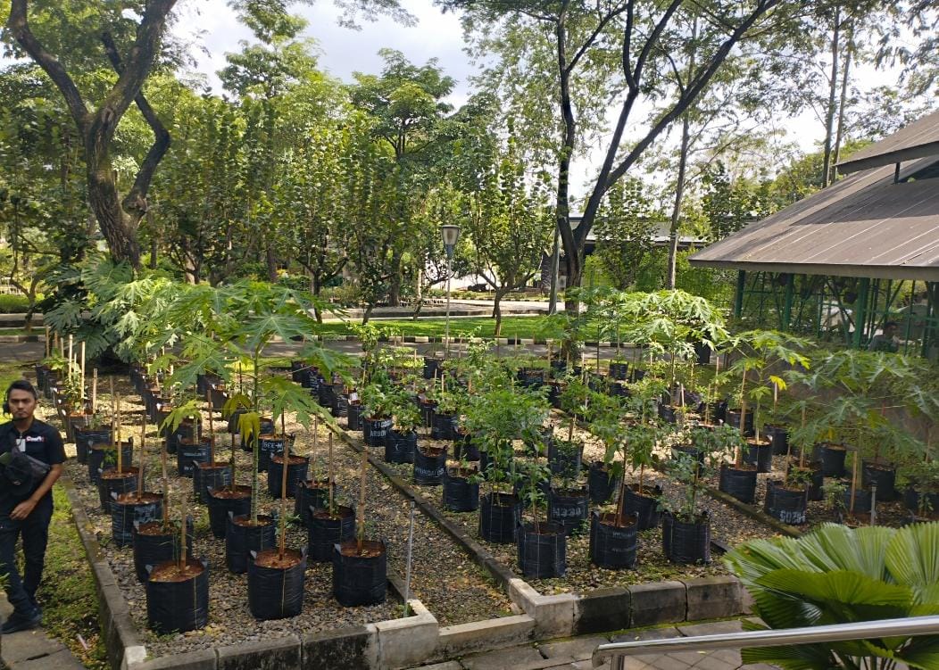 Pusat pembibitan tanaman Djarum Foundation. 