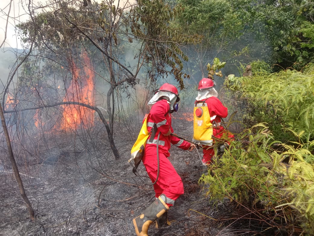 Petugas Manggala Agni berusaha memadamkan api yang melalap kawasan hutan dan lahan.