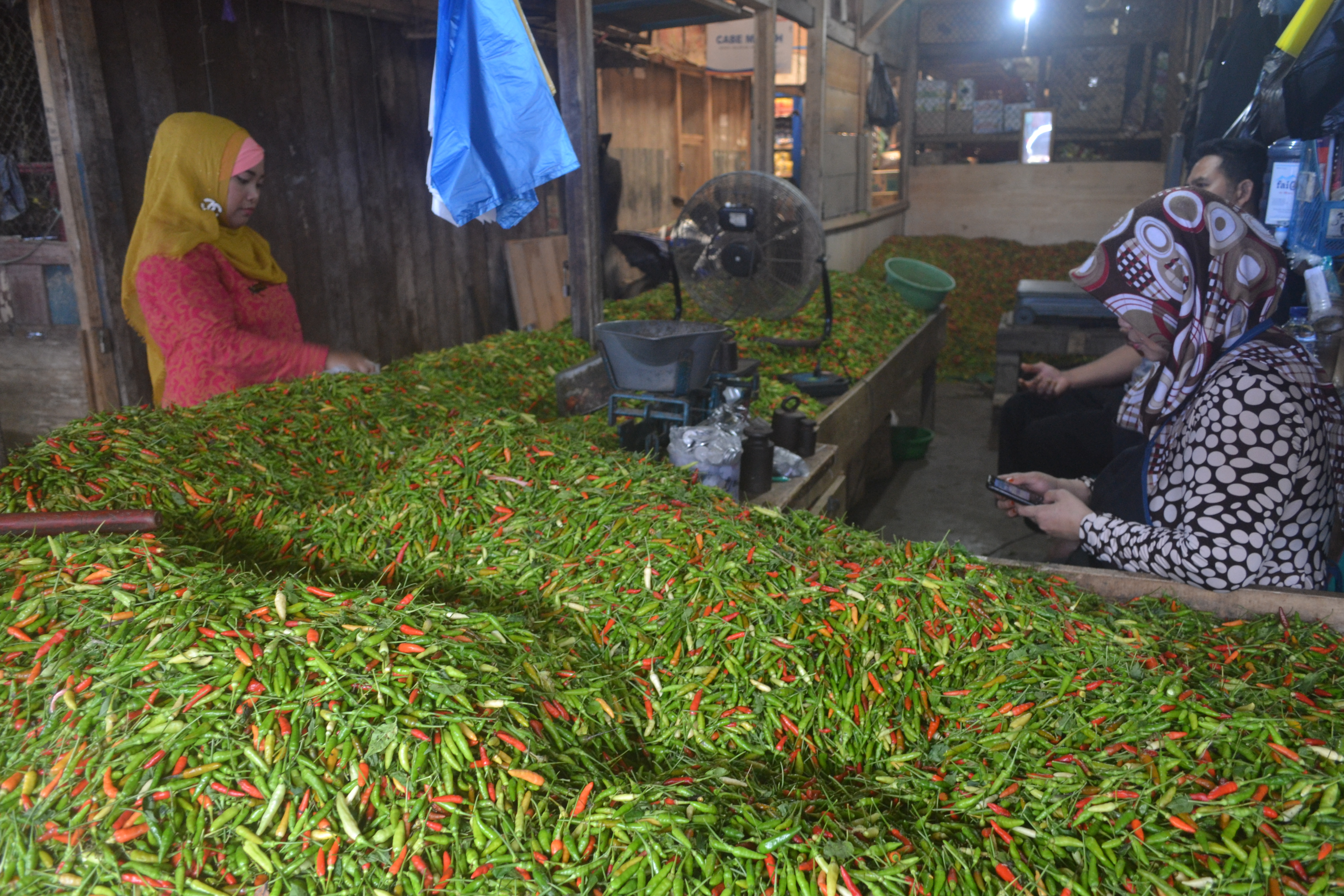 Harga cabai di Kabupaten Majalengka sudah mulai turun