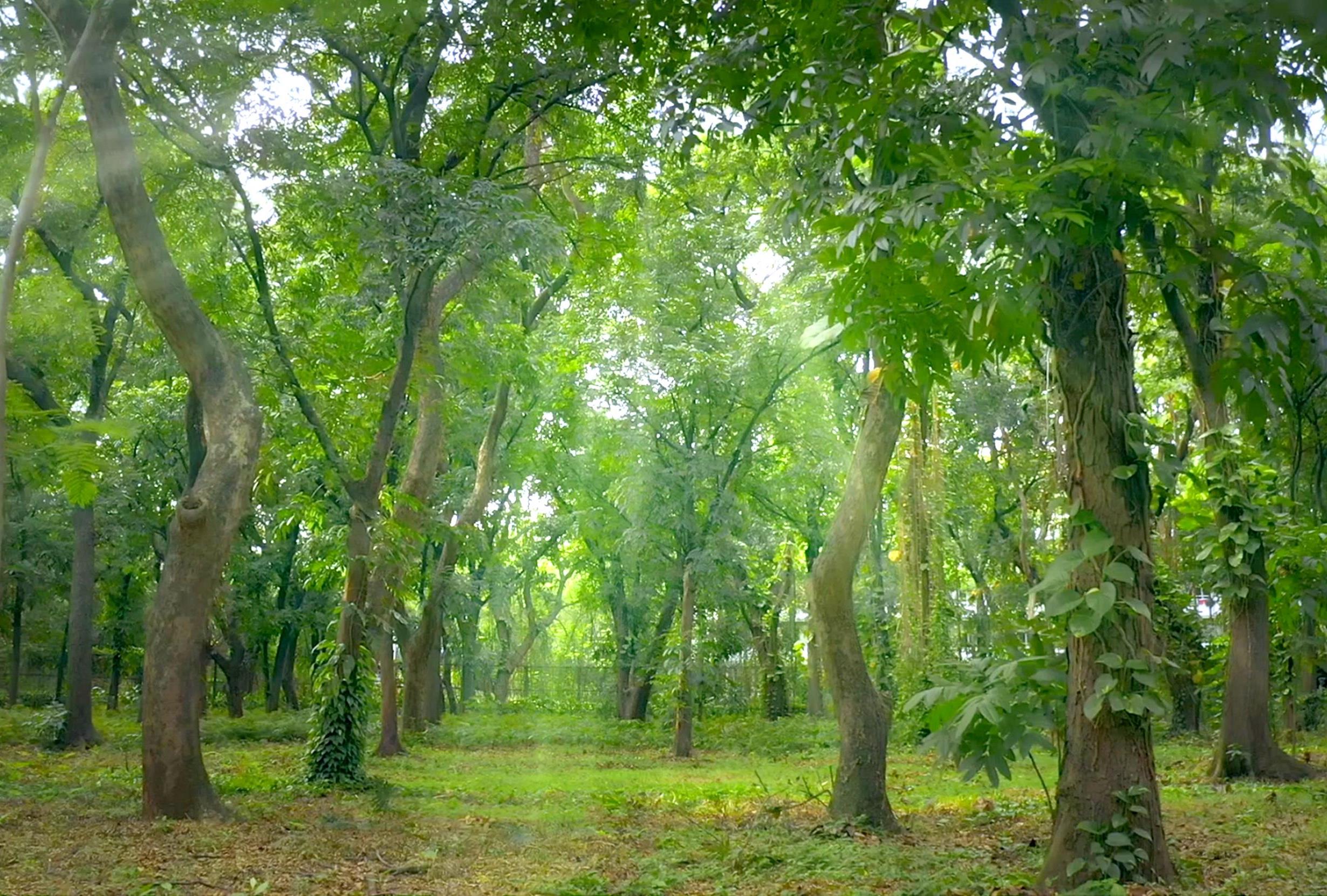 GRP terus berinovasi dalam program lingkungan agar berkontribusi positif dalam pembangunan berkelanjutan di wilayah operasional perusahaan.