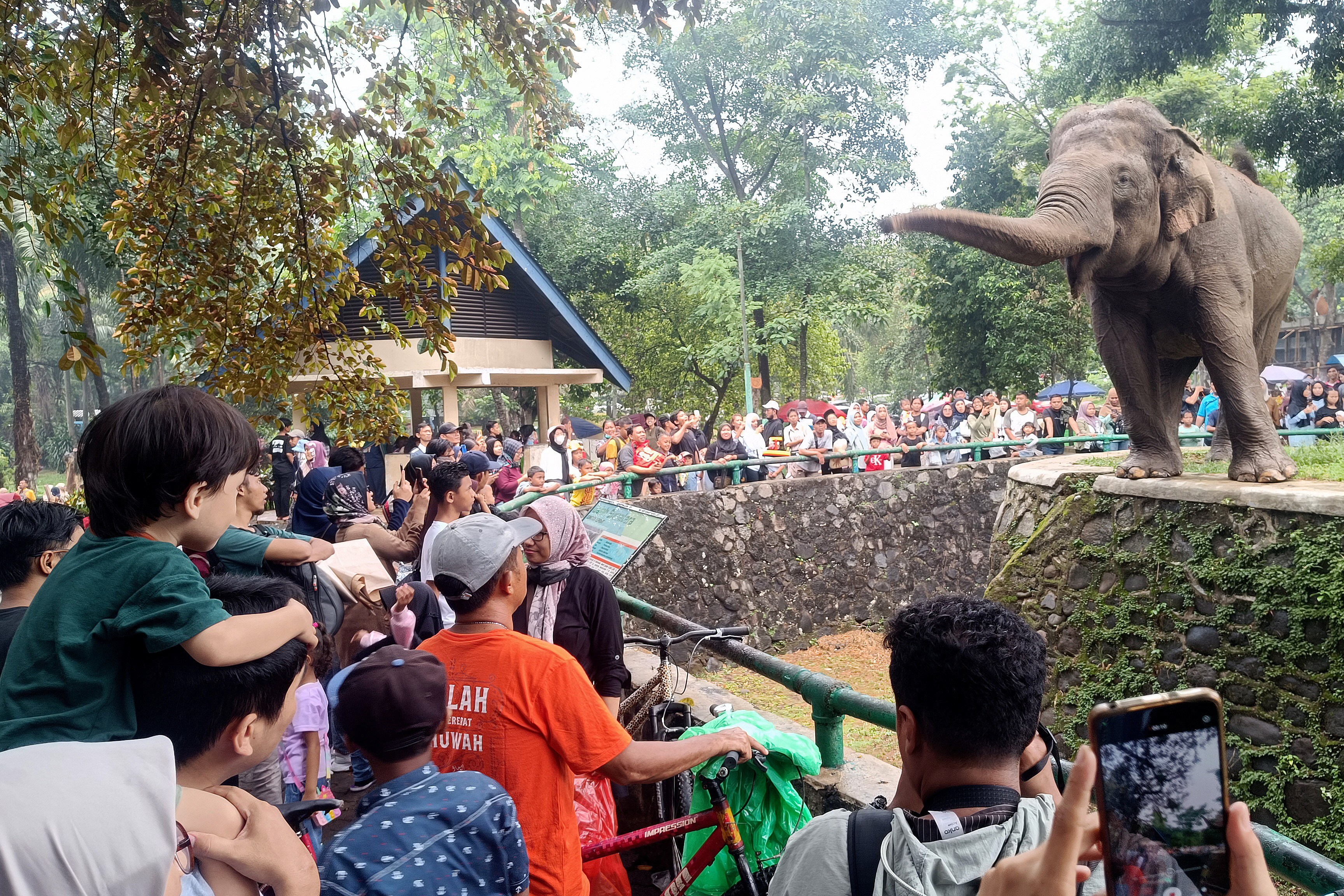 Pengunjung Ragunan Diimbau Pakai Masker