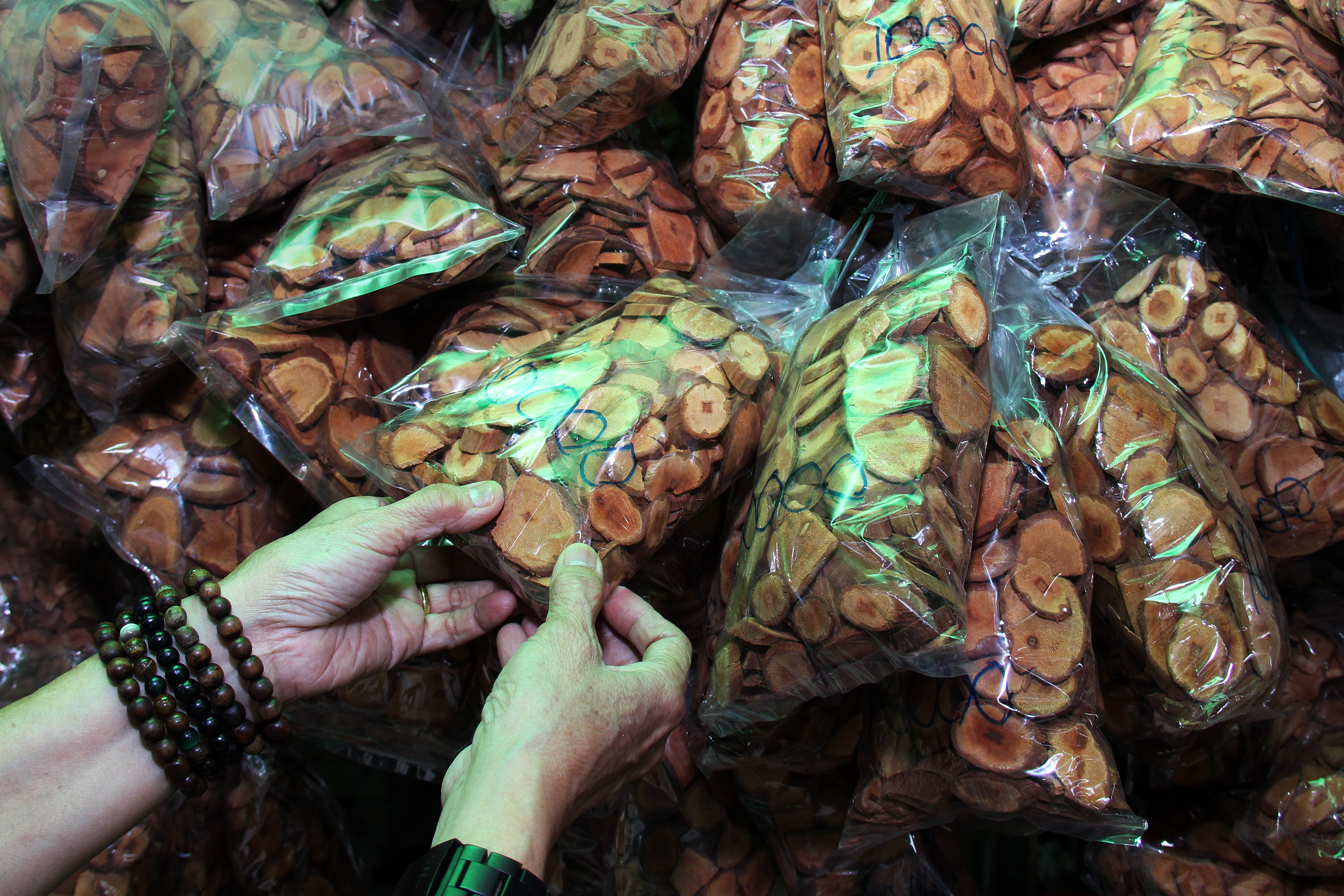 Seorang pembeli memilih irisan kayu bajakah di Tayan, Kabupaten Sanggau, Kalimantan Barat, Minggu (15/5/2022). 