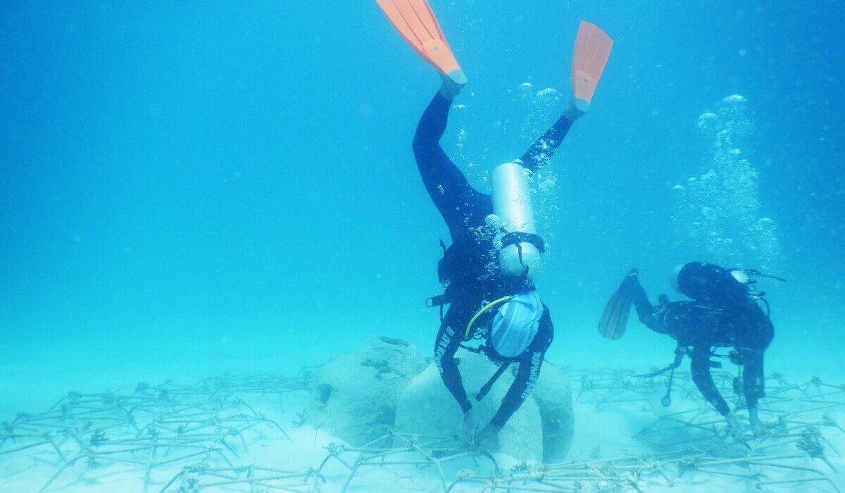 Petugas dari Balai Kawasan Konservasi Perairan Nasional (BKKPN) Kupang, NTT melakukan rehabilitasi karang yang rusak.