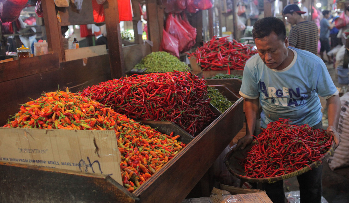 Pedagang memilah cabai rawit di pasar tradisional.
