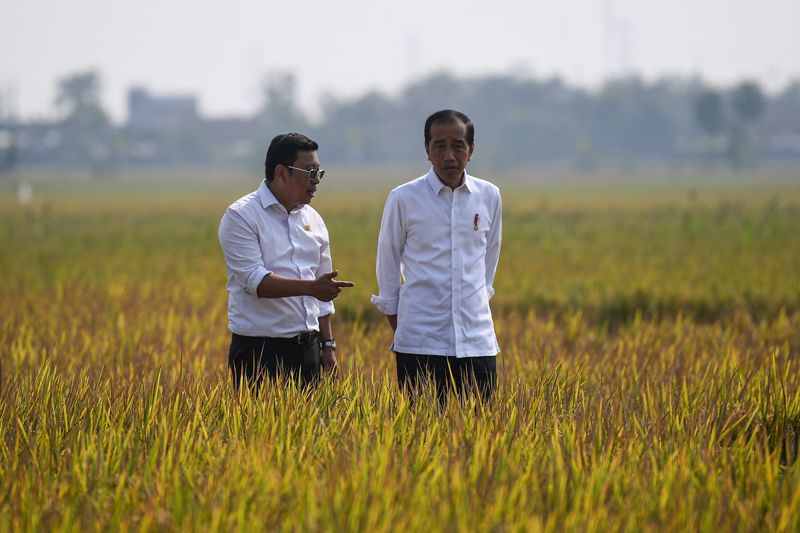 Presiden Joko Widodo