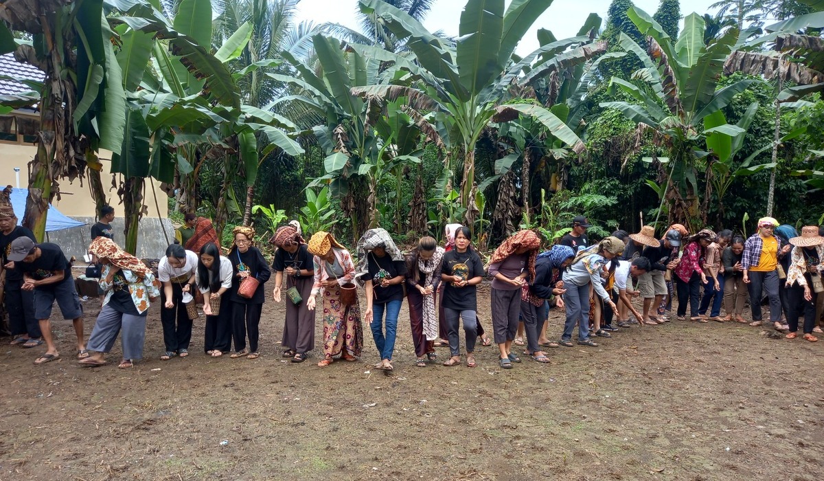 Ngasok miah melatu wini tradisi bercocok tanam suku dayak dea di Desa Liyu, Kalimantan Selatan.