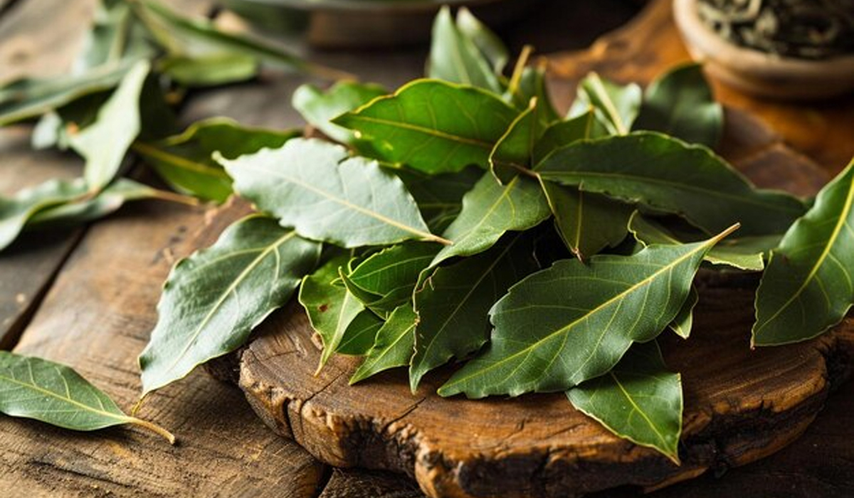 Ilustrasi manfaat daun salam untuk kesehatan