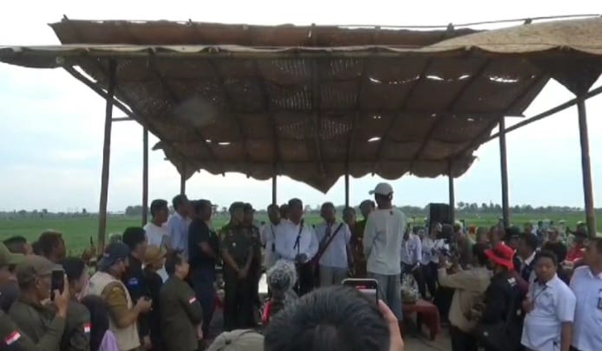 Mentan Ancam Cabut Izin Distributor Pupuk Nakal 