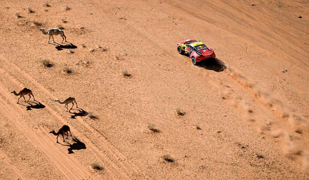 Aksi pembalap Prancis Sebastien Loeb di etape 10 Reli Dakar.