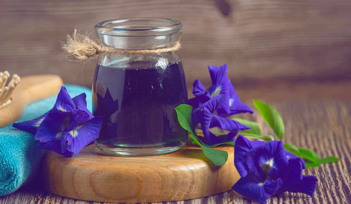 Ilustrasi manfaat bunga telang