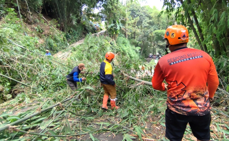 Tanah longsor yang membawa pohon bambu menutupi jalan antardesa di Lembang