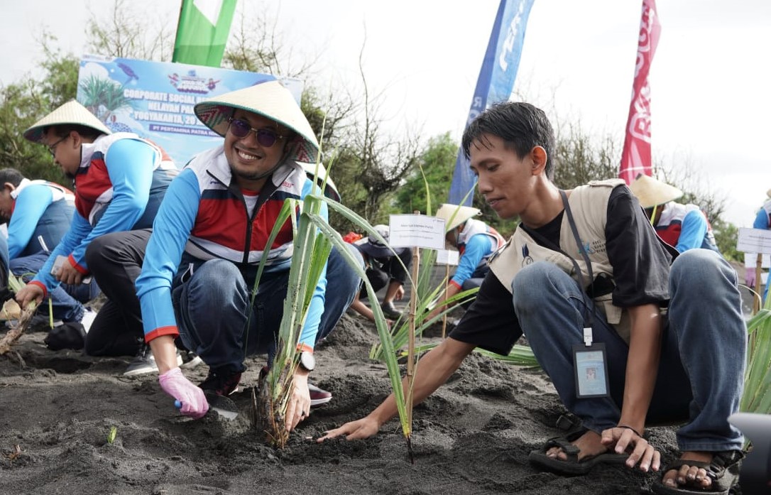  Untuk mencegah abrasi dan mitigasi tsunami, Pertamina bersama masyarakat melakukan penanaman bibit Pandan Laut di Pantai Depok, Bantul.