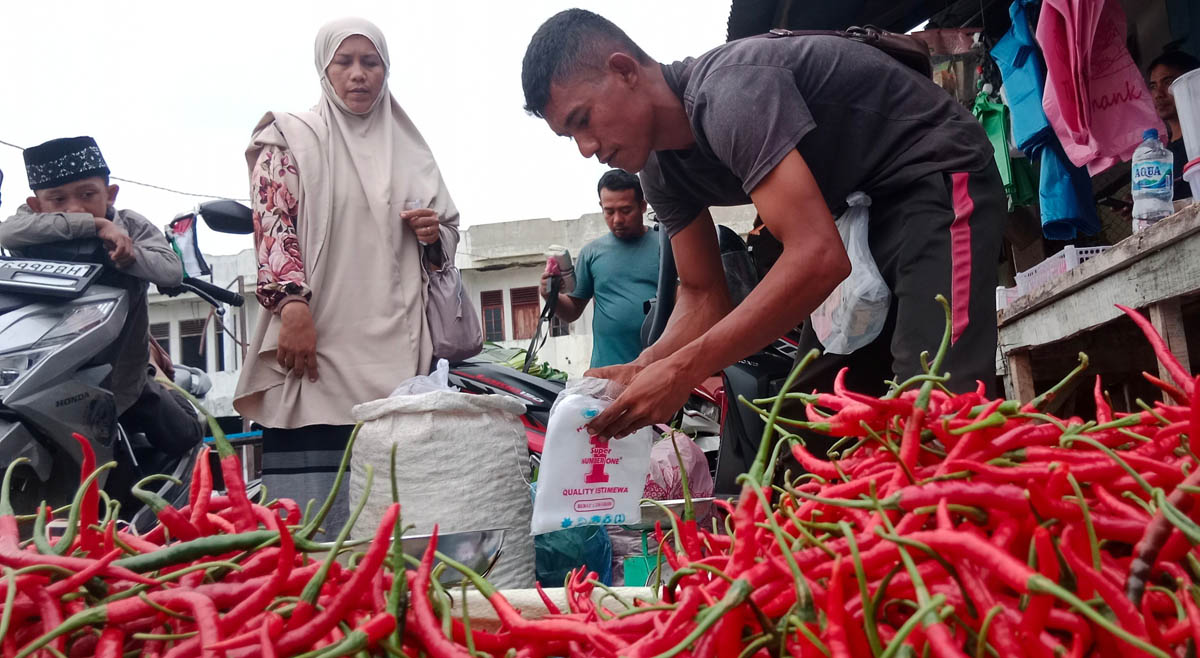 Harga cabai merah besar melonjak dari Rp80 ribu menjadi Rp100 ribu per kilogram di Pantura, Jawa Tengah.