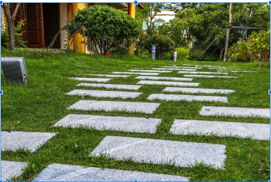 Ide Taman Depan Rumah Minimalis yang Unik dan Modern