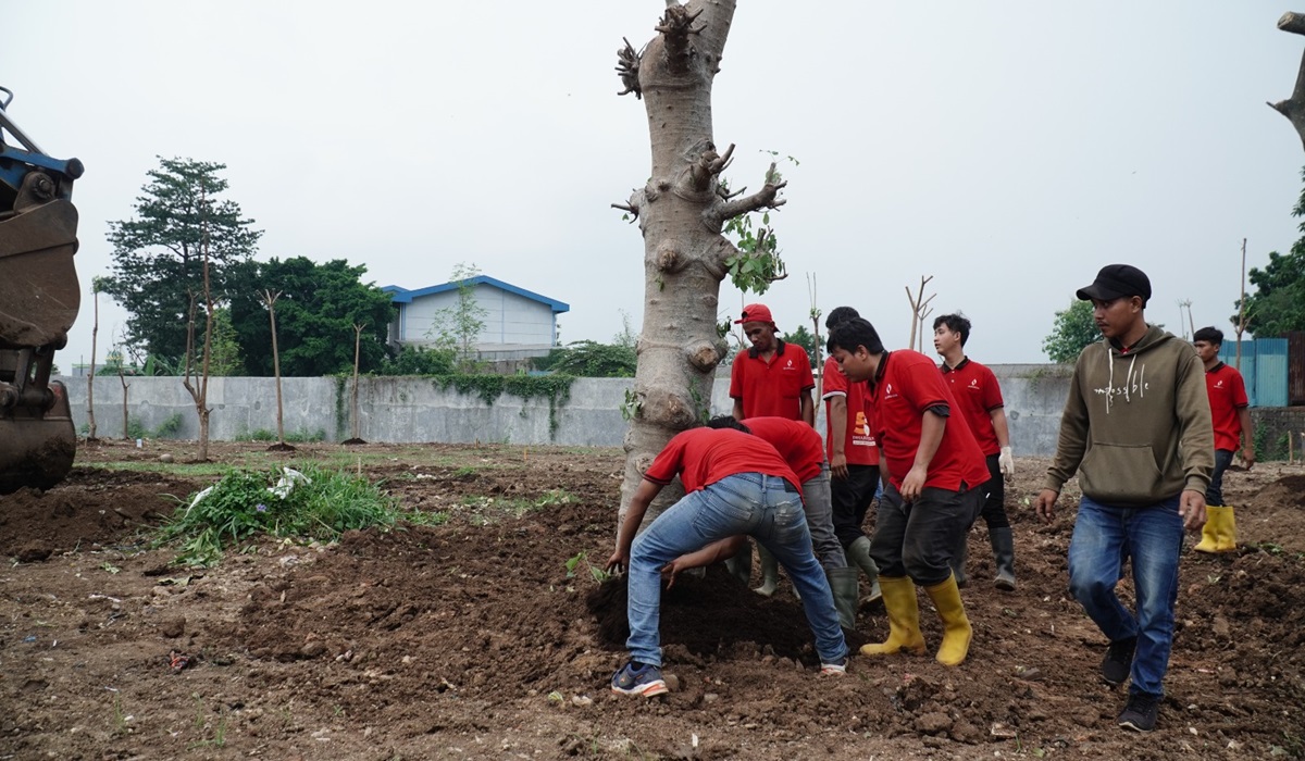Pembuatan ecopark oleh Perumda Dharma Jaya