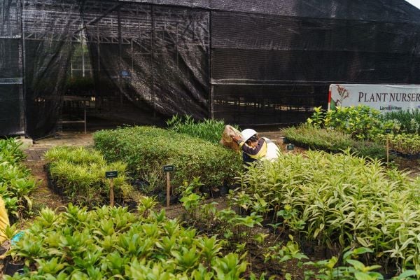 LPKR berkomitmen untuk terus mengembangkan ruang terbuka hijau.