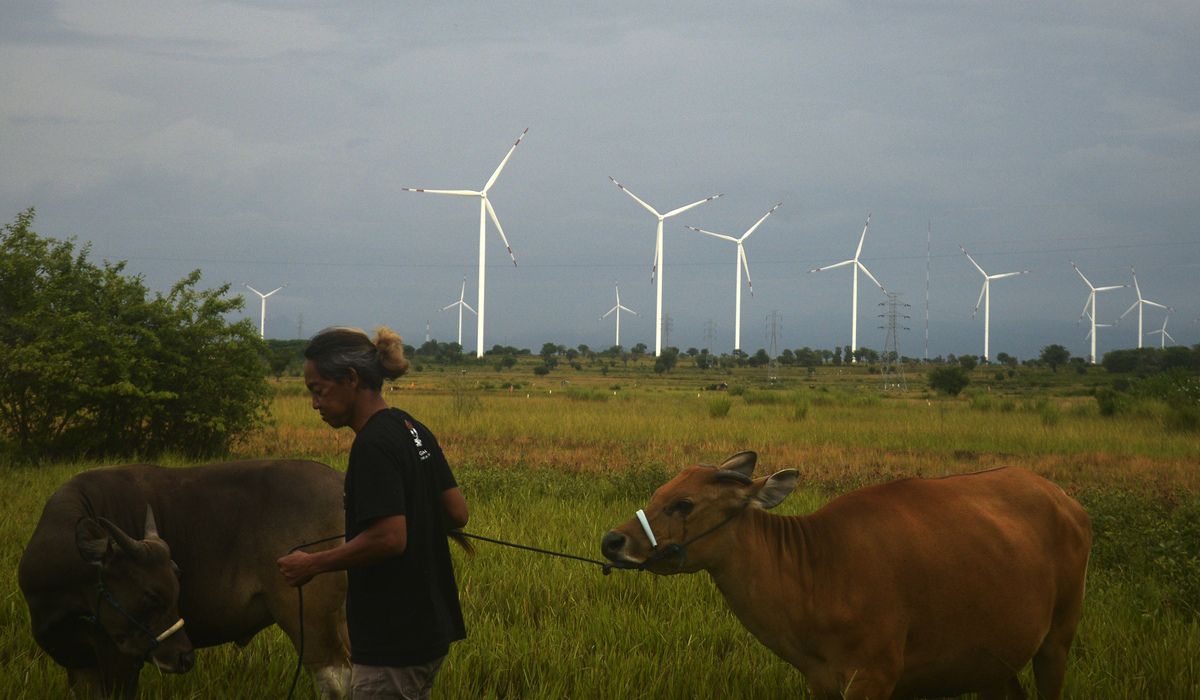 Upaya Capres Dorong Transisi Energi Terbarukan Bukan Perkara Mudah