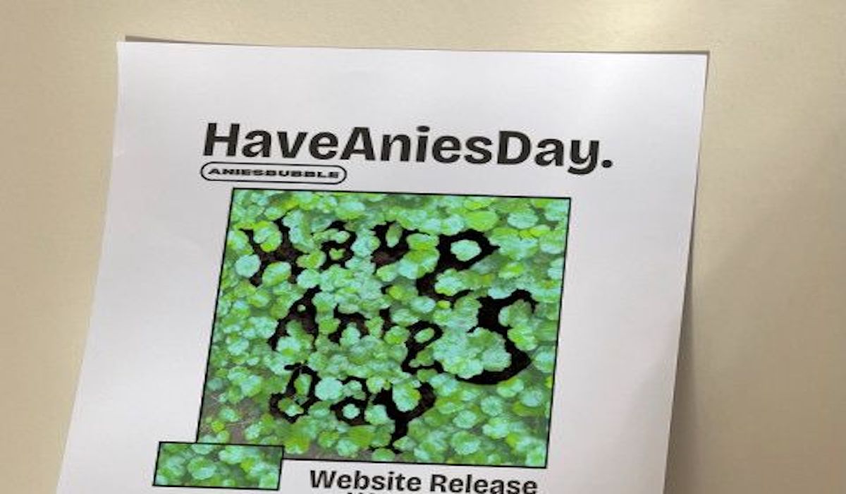 Situs HaveAniesDay.com trending di bubble media sosial