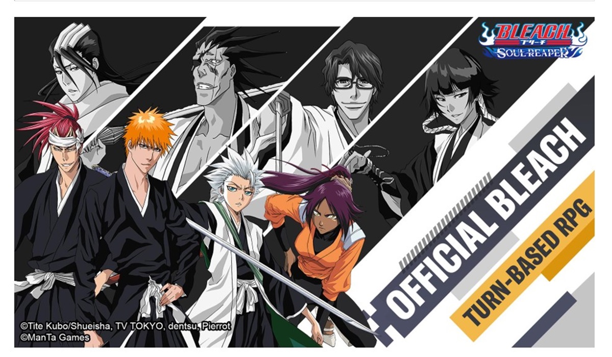 Gim Bleach: Soul Reaper