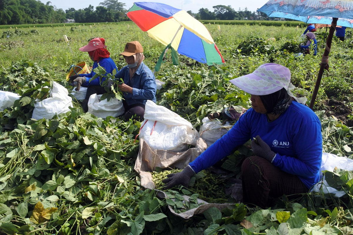Jika Anda memiliki impian untuk menjadikan kekayaan alam sebagai basis bisnis, yuks coba ambil jurusan agribisnis.