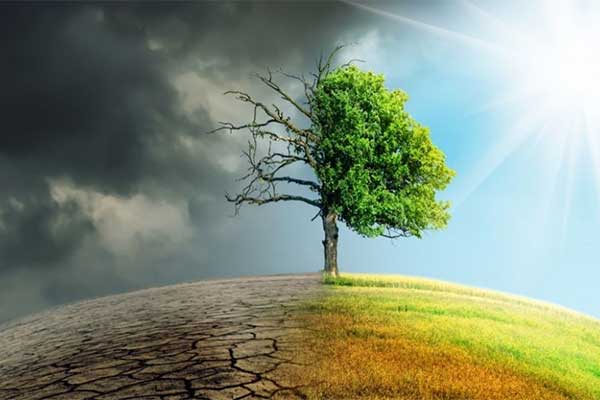 Fenomena El Nino di NTT bakal Berlanjut sampai April 2024  