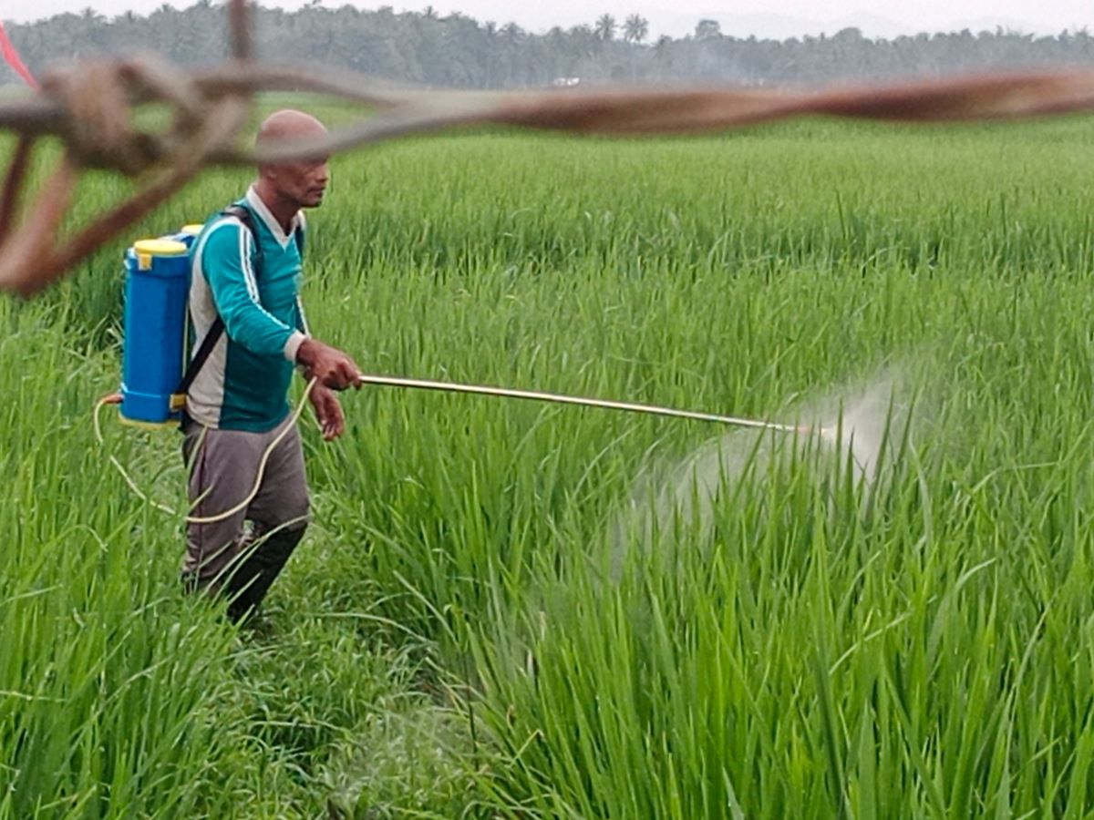 Bank Indonesia Perkirakan Ekonomi Nasional pada 2024 Tumbuh 5,5%