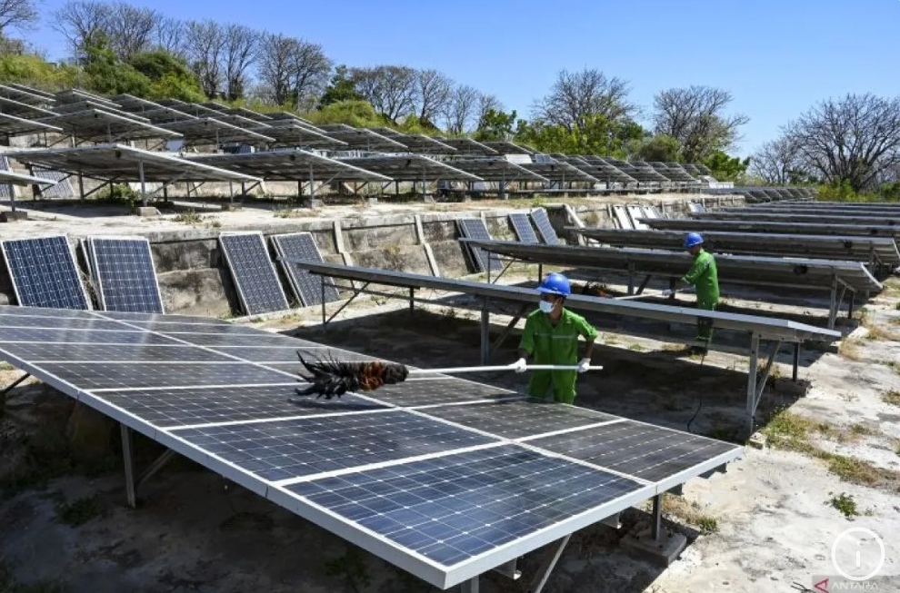 Pekerja membersihkan paPembangkit Listrik Tenaga Surya (PLTS).