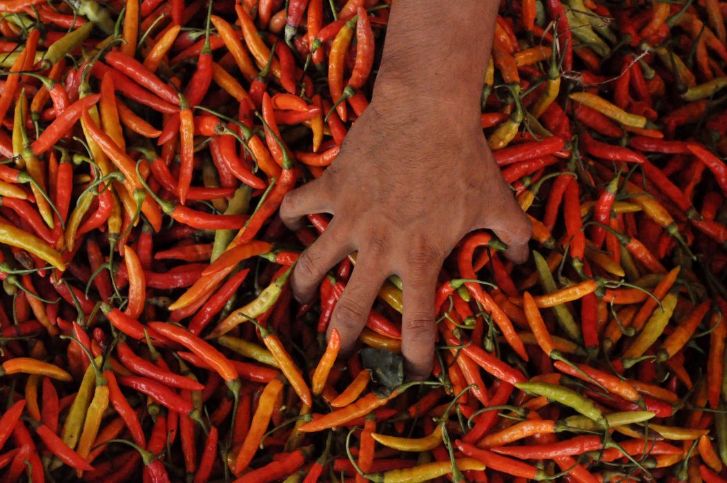 Ubah Model Kebijakan untuk Sejahterakan Pelaku Pangan