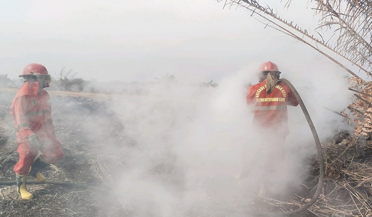 Ilustrasi pemadaman Karhutla